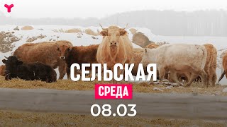 Сельская среда 08.03.2023