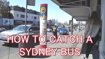 Sydney Buses: How to catch a bus - Opal card tap on/off