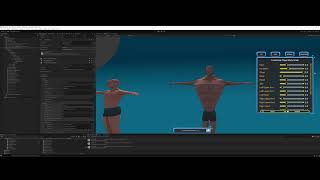 DCCT - How to setup the Player Bones