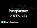 Postpartum Changes Quiz