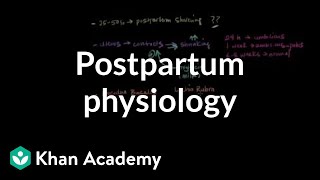 Postpartum physiology | Reproductive system physiology | NCLEX-RN | Khan Academy