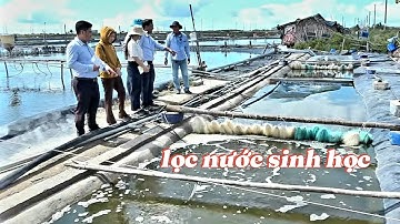 Nuôi tôm tuần hoàn nước hạn chế dịch bệnh - giảm chi phí