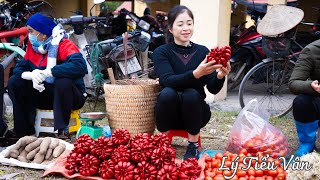 How to harvest Red Budha hand & Go to the Market sell - Harvesting and Cooking || Daily Life