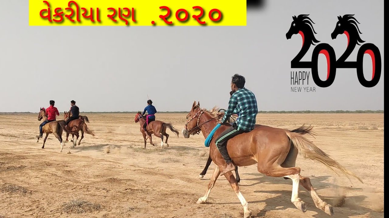 Kutch Best Horse Race In Vekriya Ran 2020 વેકરીયા રણ ઘોડા દોડ ૨૦૨૦