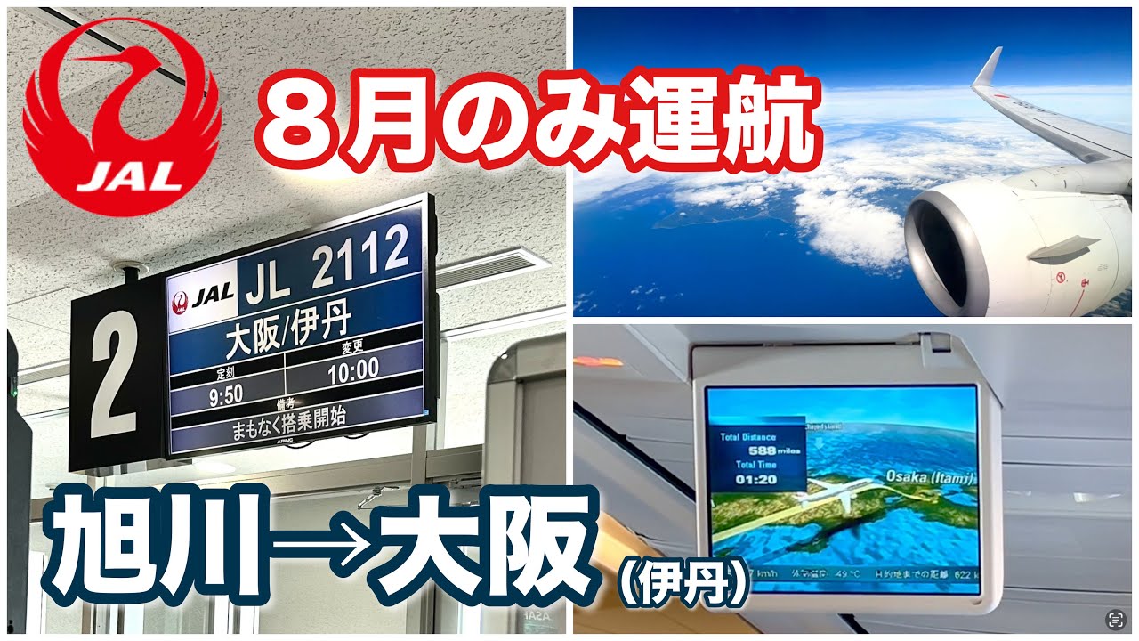 JAL 8月限定 季節運航】旭川→伊丹（大阪） JAL2112便 B737-800