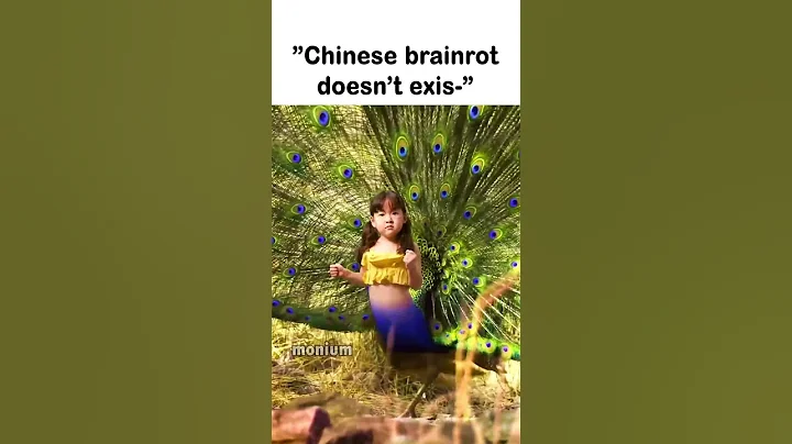 Chinese Brainrot