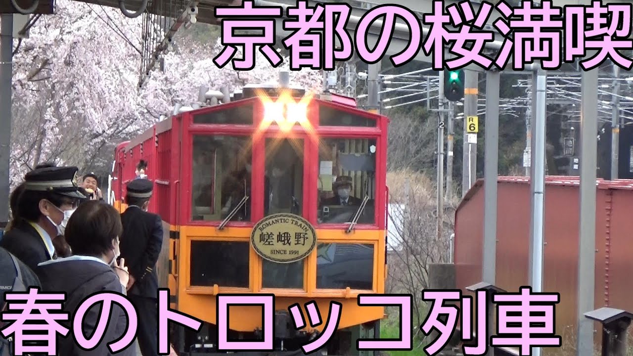 嵯峨嵐山 トロッコ列車で桜のトンネルを通過 天龍寺の枝垂桜 2103京都１ Youtube