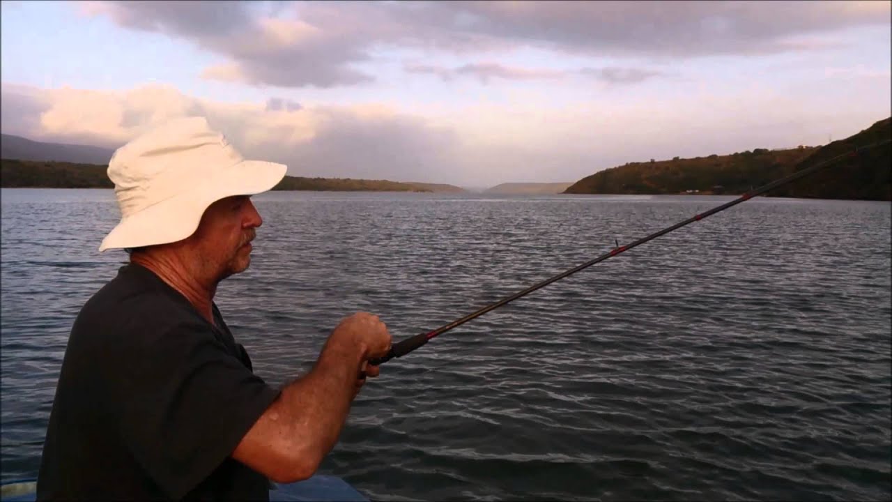 How To Catch A Fish 4kg Spotted Grunter On Ultra light Tackle YouTube how-to-catch-a-fish-4kg-spotted-grunter-on-ultra-light-tackle-youtube