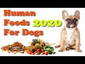 Top 10 Healthiest Human Foods You Can Share With Your Dog 2020