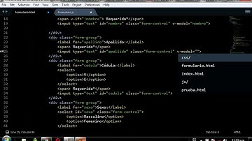 Validar formulario con Vue.js