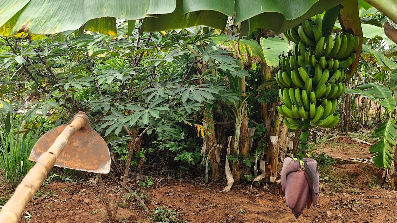 Bora carpinar 😃 Boa semana pra todos vocês 🥰 