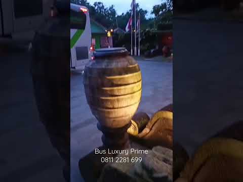 Luxury Bus TraveLink