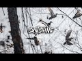 Duck Hunting- INCREDIBLE Hunt in the Sunshine