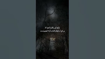 سورة الزمر | [٥٥:٥٣]| الشيخ: محمد أيوب | تلاوة خاشعة