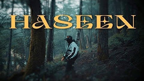 HASEEN - TALWIINDER, NDS, RIPPY (Official Visualizer)