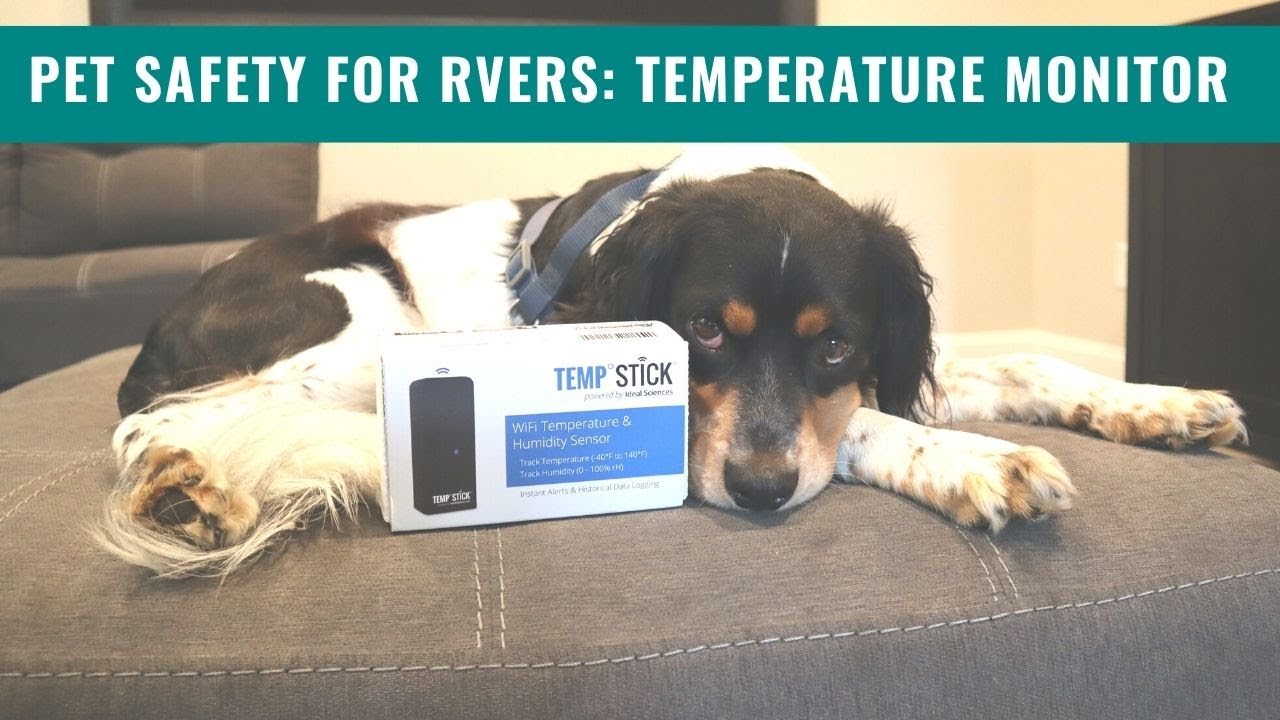 How to Choose the Best RV Pet Temperature Monitor to Keep Your Dog Safe -  Canine Campus Dog Daycare & Boarding
