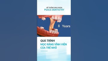 Quá Trình Mọc Răng Vĩnh Viễn Của Trẻ Nhỏ