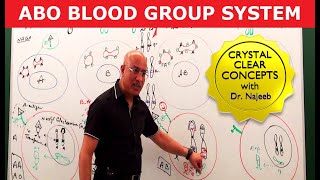 ABO Blood Group System | Blood Types & ABO Antigens‍⚕