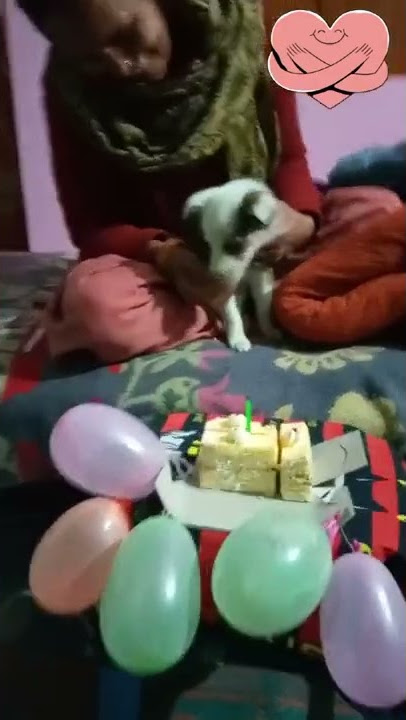 wish me🎁🎁🎁🎁