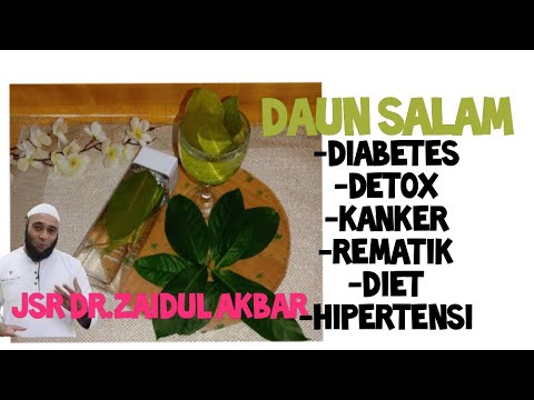 MANFAAT & KHASIAT DAUN SALAM |TIPS CARA MENGOBATI HIPERTENSI,DIABETES