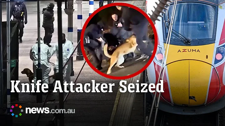 Armed officers arrest suspect after train stabbing attack