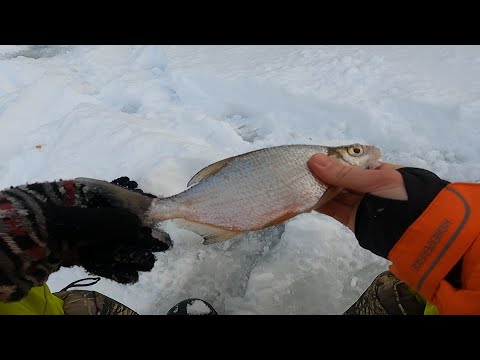 Мой первый лёд.