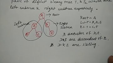binary tree in data structure in hindi | Niharika Panda