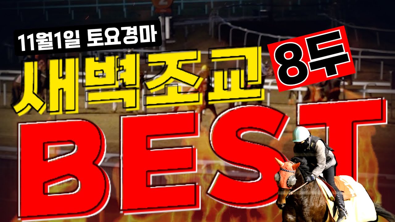 [굽소리경마] 11월1일 토요경마!! 칼갈고 준비한 8두의 마필!!#새벽조교#과천경마장#조교우수마#굽소리경마
