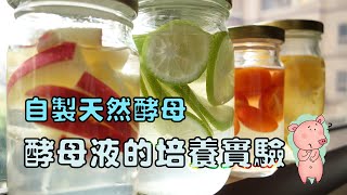 自製天然酵母【How to Make Fruit Yeast Water 酵母液培養蘋果 ... 