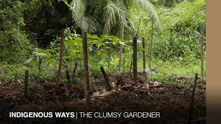 Permaculture and Chinampa in an indigenous Hong Kong village | THE CLUMSY GARDENER screenshot 4