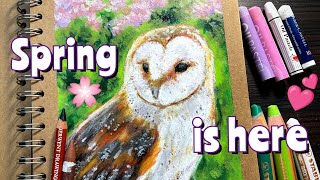 First spring drawing 🌺 barn owl art in oil pastel 🦉 by Gabriella Rita Art 230 views 2 months ago 10 minutes, 41 seconds