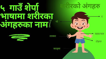 #sherpa #languagelearning #paanchgaun #partofbody 