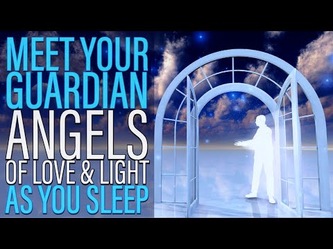 Meet Your Guardian