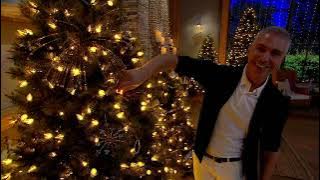 Martha Stewart Long Needle Pine Tree on QVC