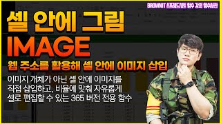 개체가 아닌 셀 안에 사진 그림을 직접 삽입하는 마이크로소프트365 최신 함수 IMAGE 함수를 활용해보세요! || 브라운IT 스프레드시트 함수 강의 screenshot 4