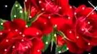 rozes