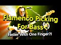 Flamenco Picking Technique For Bass (Geddy Lee, Bryan Beller, Chuck Rainey)