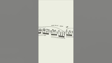 How many harmonics do you want?