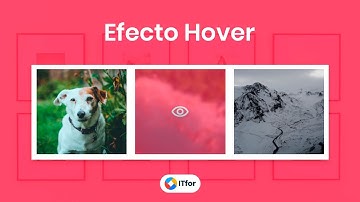 Galería de imágenes con efecto Lightbox | 01 - Estructura HTML y Efecto Hover