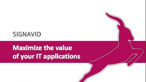 Maximize the Value of Your IT Applications by Following a Business Process-centric Approach