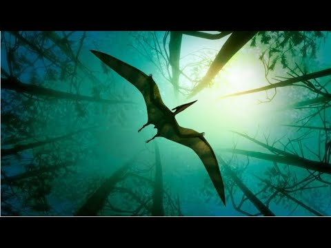 Pterosaurs: Dominators of
