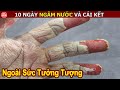 Đây Là Điều Khủng Khiếp Sẽ Xảy Ra Với Làn Da Của Chúng Ta Sau 10 Ngày Ngâm Nước || Top10HuyenBi