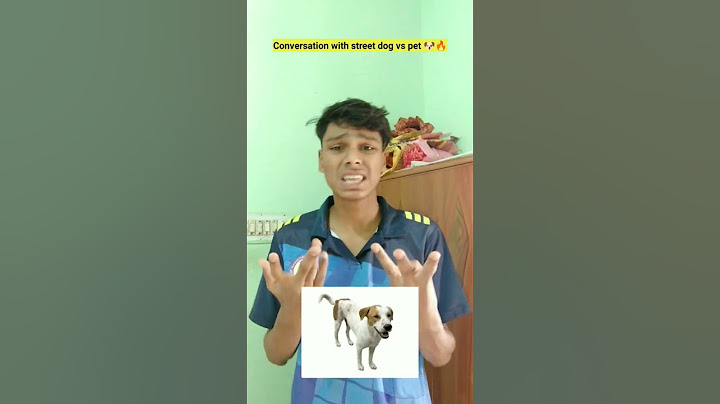 Conversation with Street dog vs pet dog 🐶😂 || indian dog's 😂 || #shorts #comedy #dog #trending