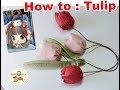 How to Tulip