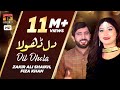 Dil dhola  zakir ali shaikh fiza khan  latest songs 2020  new year latest punjabi  saraiki song