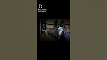 الشيخ ناصر القطامي / سورة الطور