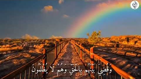 وأشرقت الأرض بنور ربها ❤️ اجمل قراءة سورة الزمر 🌸حالات واتس اب انستا دينية قصيرة #قران_يريح_القلب ❤️