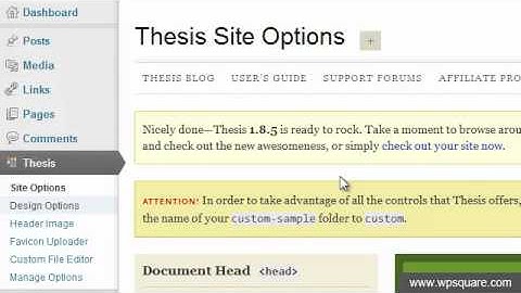 How to Install Thesis Theme on WordPress Blog