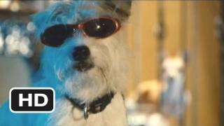 Marmaduke Movie Clip - The Dukes Rager 2010 Hd