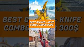 Best Knife & Gloves Combo under 300$ in CS2